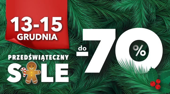 PRZEDŚWIĄTECZNY SALE DO&nbsp;-70% W&nbsp;PTAK OUTLET!