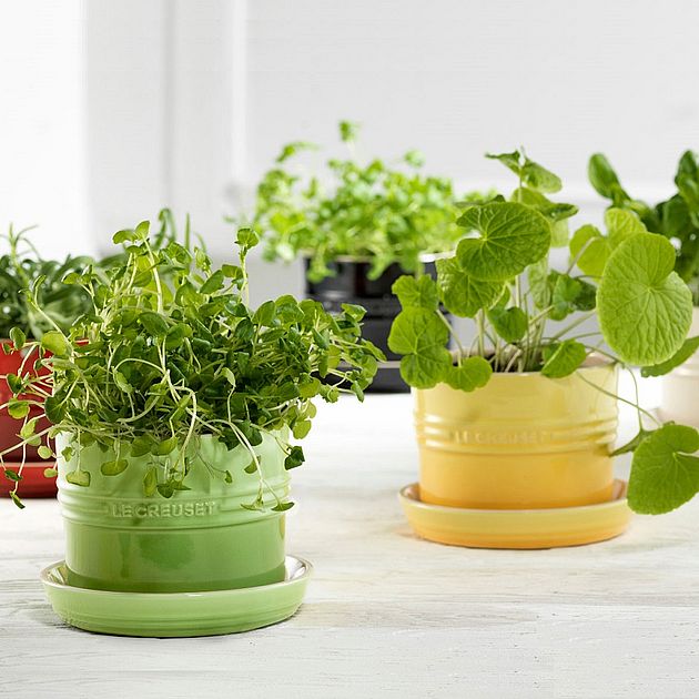 Doniczka na&nbsp;zioła za&nbsp;167,30